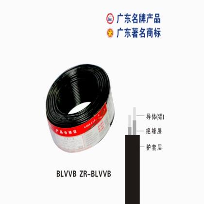 BLVVB ZR-BLVVB欧美日韩欧美日韩国产精品電纜